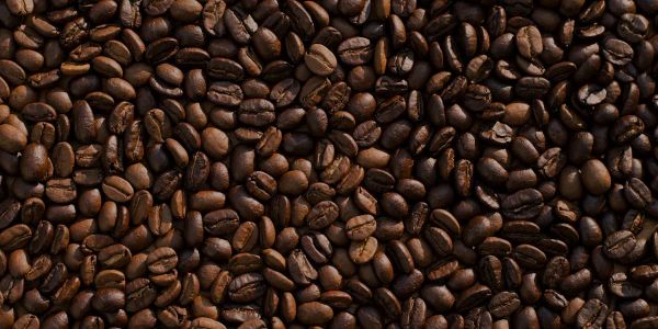 How to Pour Over Coffee: A Beginner's Guide to Perfect Brewing